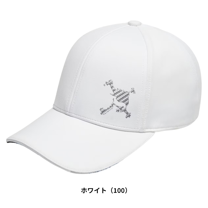 【即納】OAKLEY 2023 オークリー ゴルフ スカル SYNCHRONISM 23.0 キャッ...