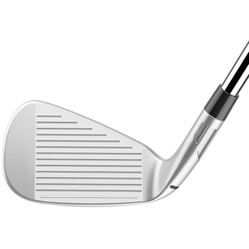 2026 テーラーメイド Qi MAX LITE アイアン (単品) REAX 45