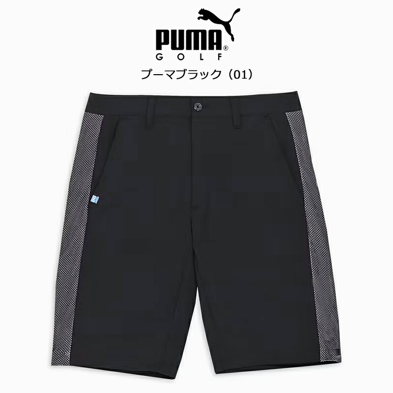 pum-20250228-007-1.jpg