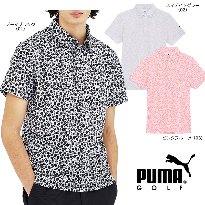 pum-20250228-011.jpg