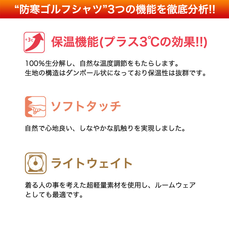 ゴルフ ゴルフウェア メンズ インナー シャツ ロンT ハイネック 長袖 極暖 冬用 裏起毛 ゴルフトップス コモンゴルフ サンタリート CG- HT916NF :CG-HT916NF:メンズゴルフウェアサンタリート - 通販 - Yahoo!ショッピング