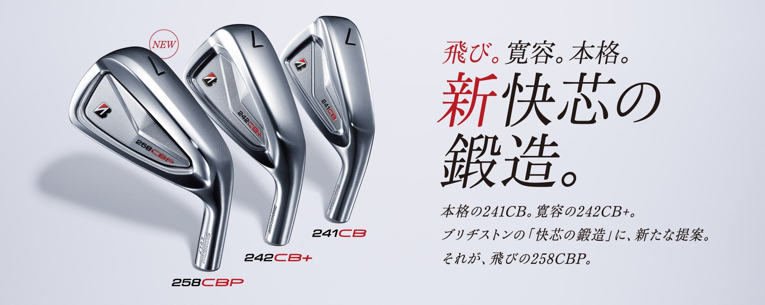 BRIDGESTONE GOLF ゴルフクラブ ブリヂストン 241CB アイアン