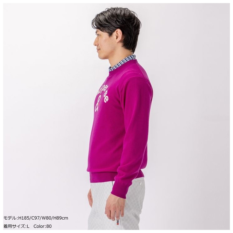 and per se アンパスィ メンズ カシミヤセーター AMF2312A6 : Golkin