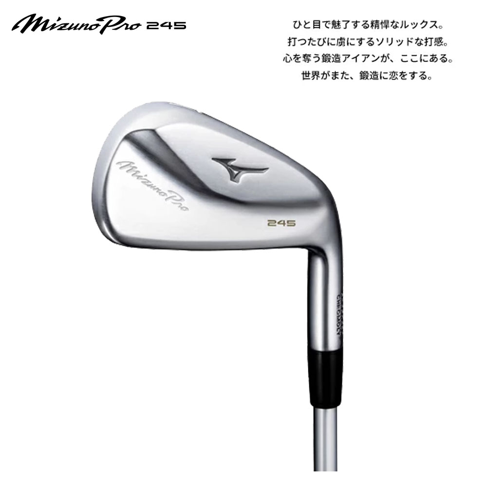 Mizuno Pro 245 アイアン GW Mizuno Pro 245 Irons - Carl's Golfland