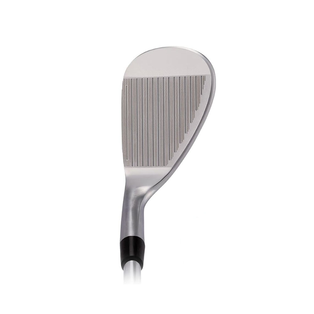 ロイヤルコレクション BBウェッジ ダイナミックゴールド スチールシャフト クロムメッキサテン仕上げ ROYAL COLLECTION（ロイヤルコレクション） BBウェッジ ダイナミック