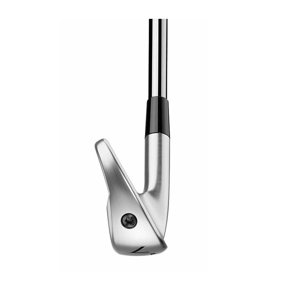 TaylorMade - P790 アイアン(&#39;25) #5〜PW 6本950GH NEO (S) 新品 TaylorMade P790 アイアン 5本セット(#6-PW) メンズ 右用 N.S.