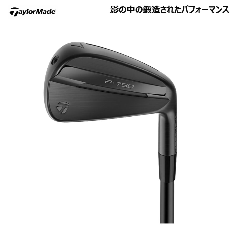 TaylorMade（テーラーメイド） USモデル P790 シャドウ フォール