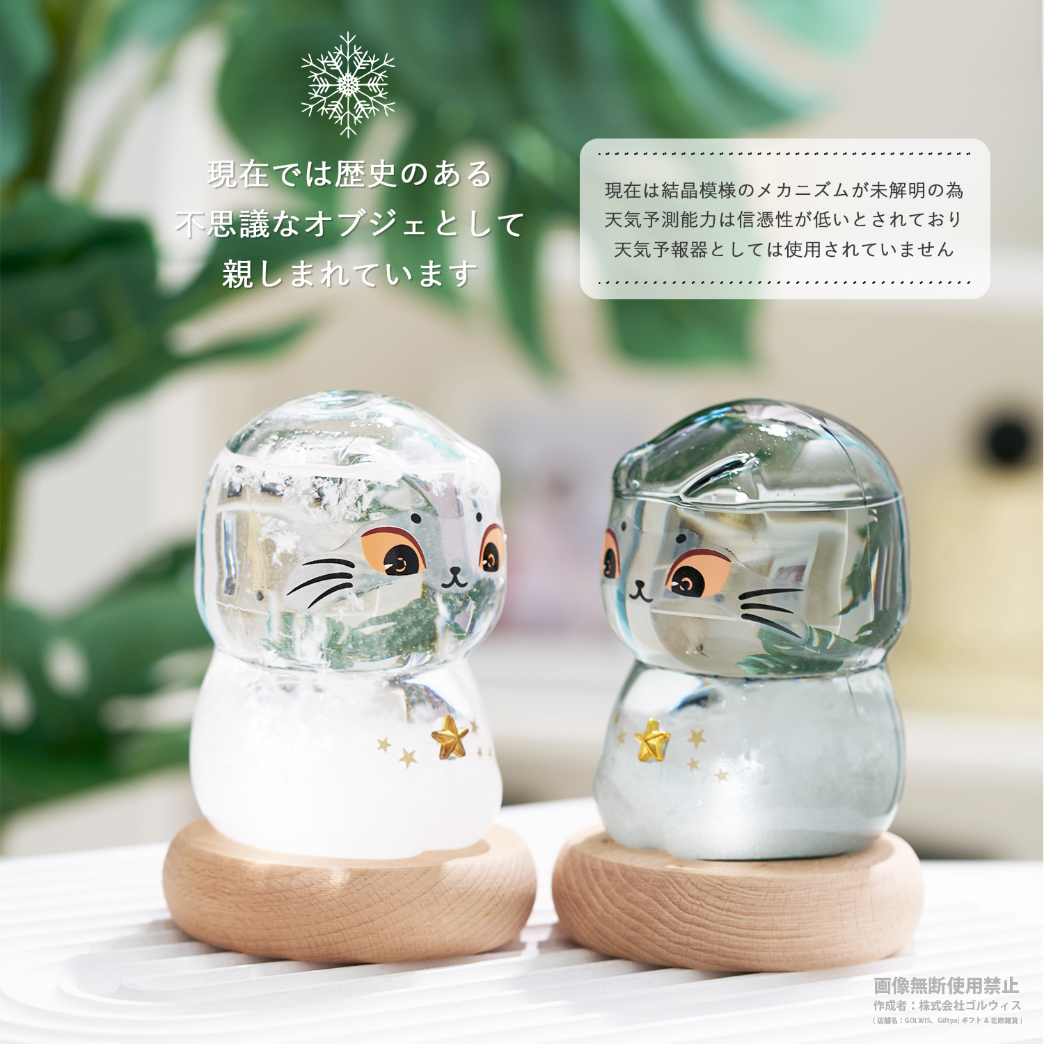 goods0079-4.jpg