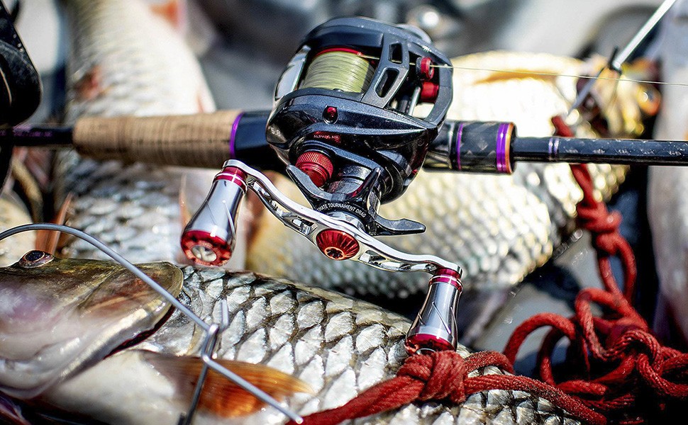 ベイトリール ダブルハンドル 100mm シマノ Shimano ダイワ Daiwa アブ