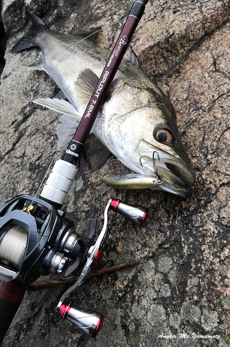 ベイトリール ダブルハンドル 100mm シマノ Shimano ダイワ Daiwa アブガルシア Abu Garcia カスタム パーツ Cnc切削 アルミ ゴメクサス Gomexus h100 Gomexus 通販 Yahoo ショッピング 일본 미국구매대행 직구 4do