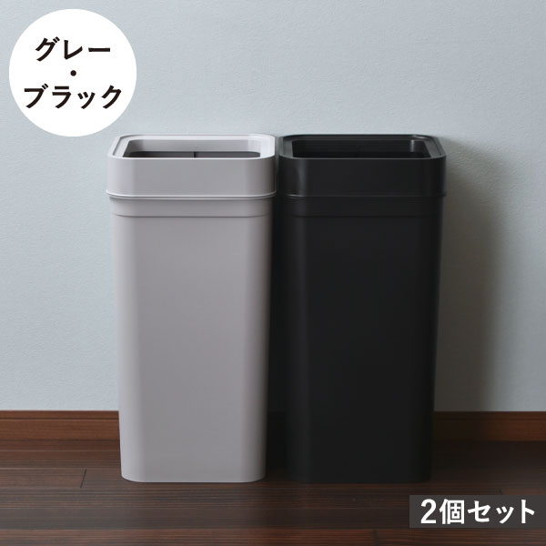 Like-it（ライクイット） ゴミ箱 スリム おしゃれ 45L 2分別 キッチン