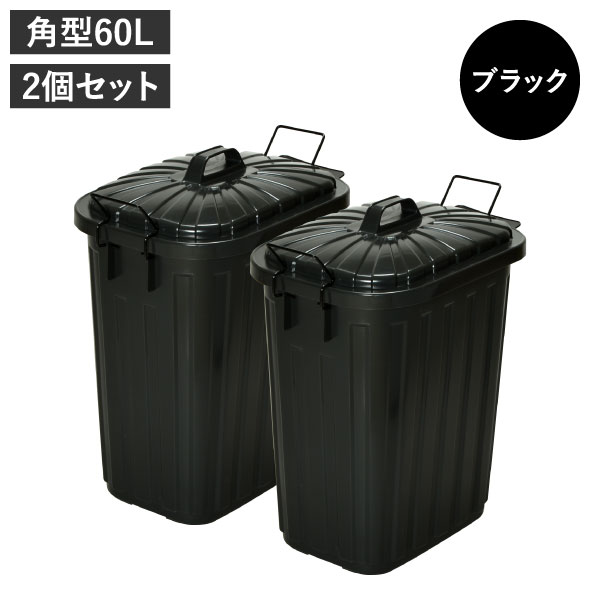 ゴミ箱 おしゃれ 45リットル対応 45l対応 60リットル キッチン用 分別 屋外 大型 蓋付き フタ付き ごみ箱 生ゴミ 屋外ダストボックス  60L 2個セット