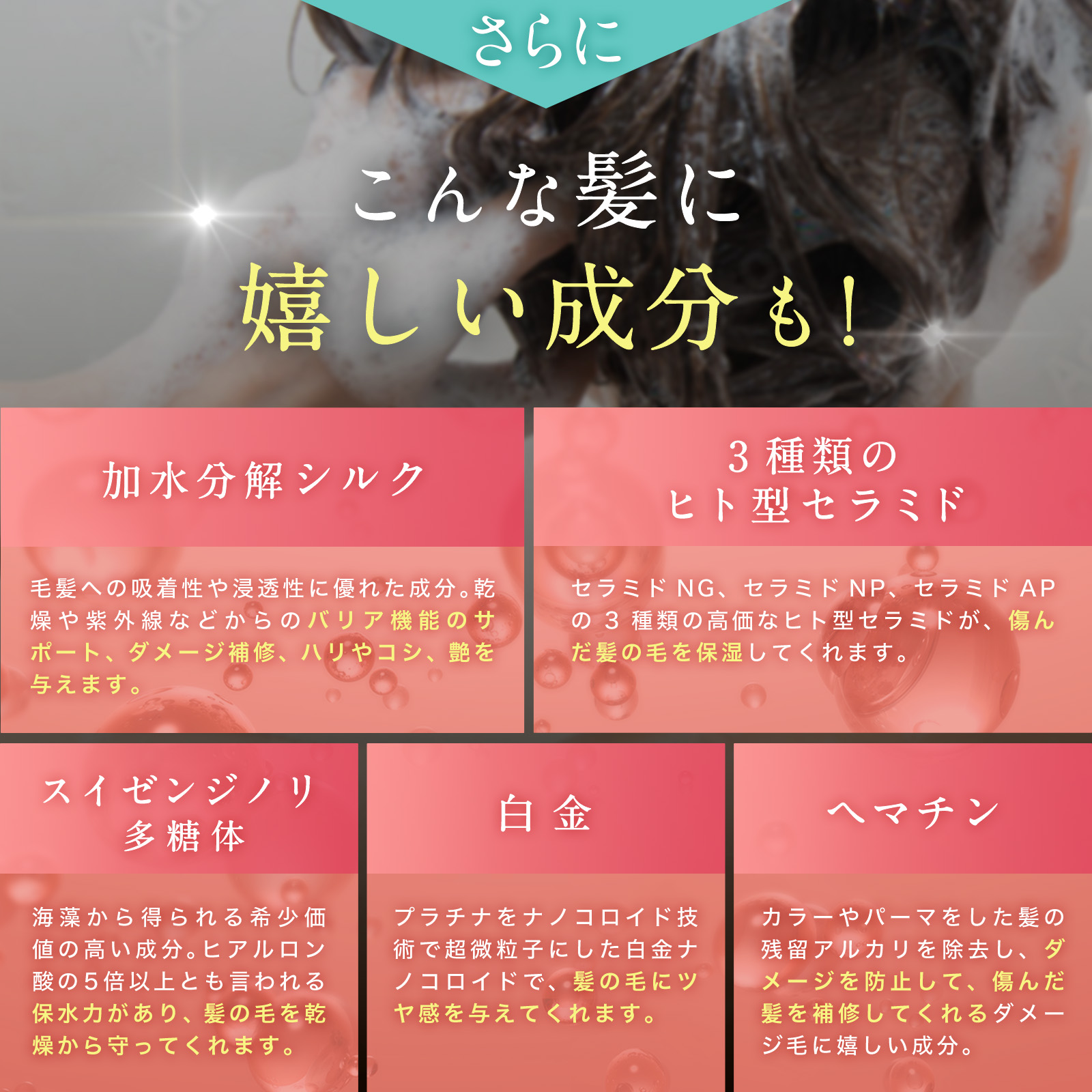 更にこんな嬉しい