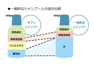 セブンフォース SEVEN FORCE ギフトプラスシャンプー 1000ml : GON