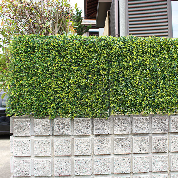 tan-greenfence_5.jpg tan-greenfence_5.jpg