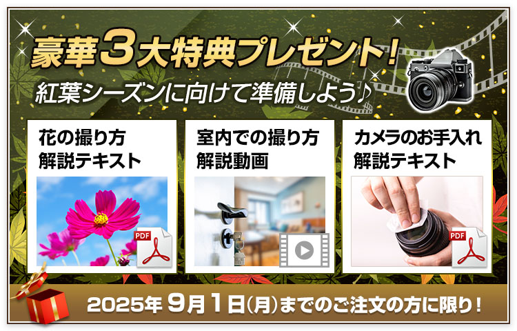 写真の撮り方 / わずか3ステップで写真が上手くなる 一眼レフ