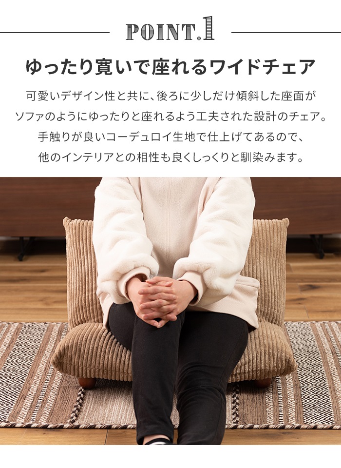 アシックス　DS LIGHT X-FLY 5 25.5cm ふるさと納税 稚内市 水戻し不要!解凍するだけで調理可能な「もどし棒