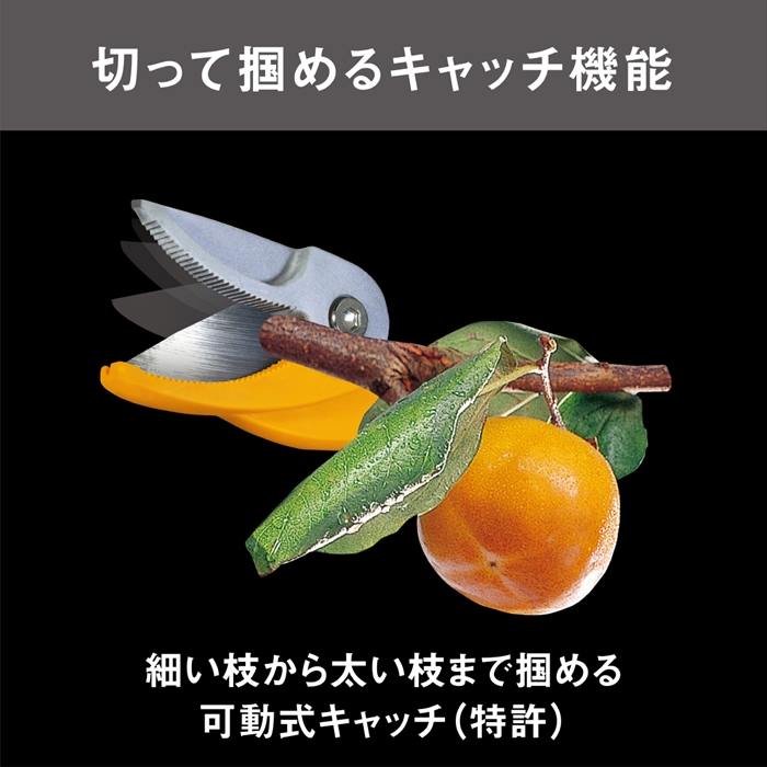 値下げ 高枝切りバサミ 1.7〜2.9m 2段式 13段伸縮 高枝切 はさみ キャッチ機能 プッシュカット 押して切る アンビル刃_5