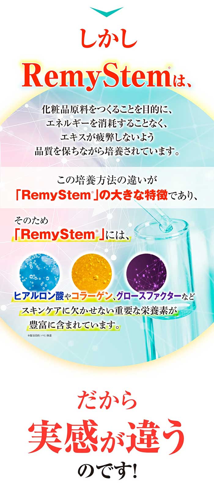 月に1度のお得なスペシャルWEEK！／セリーク スキンケアソリューション