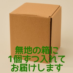 箱