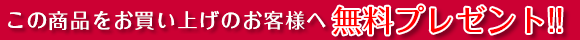 この商品をお買い上げのお客様へ無料プレゼント！