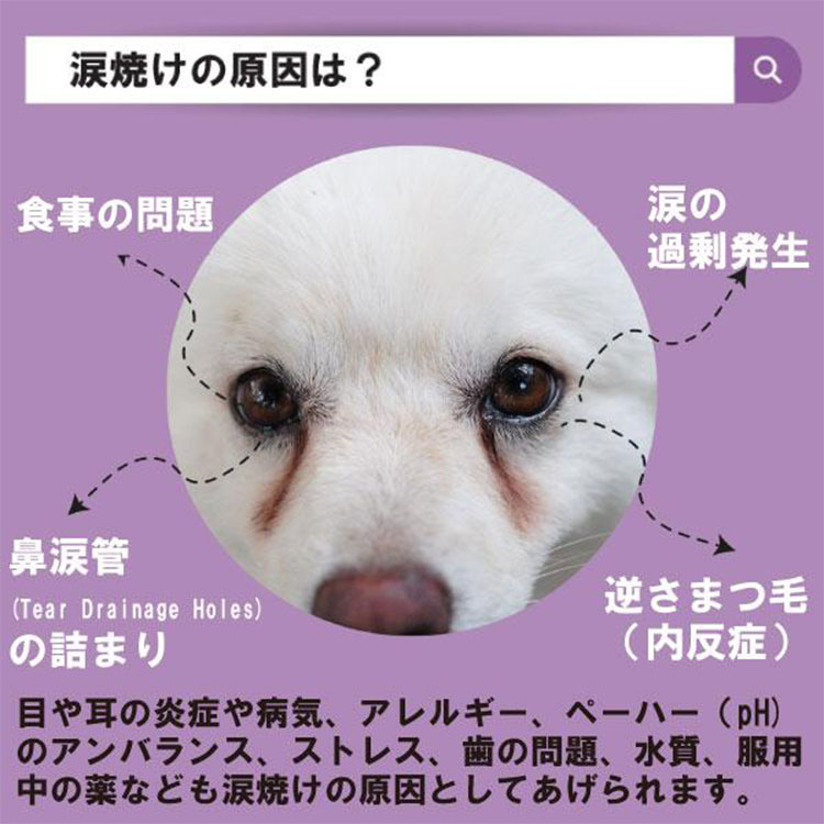犬用サプリメント チキン味 35粒入り 目の健康維持 目のサプリ フリーズドライ 涙焼けケア ドライアイ 目やに 白内障 グレインフリー ペットアイズ PETEYES |  | 06