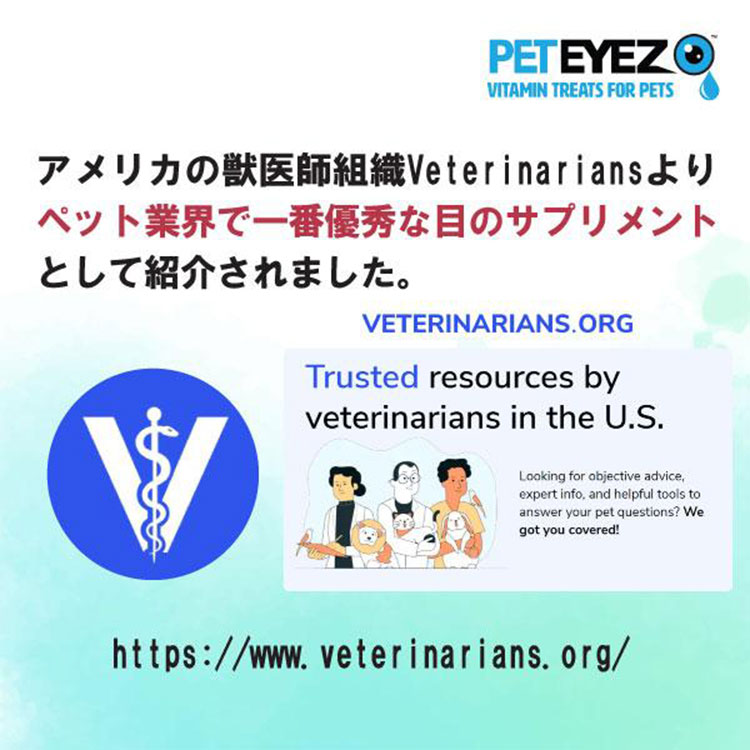 犬用サプリメント チキン味 35粒入り 目の健康維持 目のサプリ フリーズドライ 涙焼けケア ドライアイ 目やに 白内障 グレインフリー ペットアイズ PETEYES |  | 08