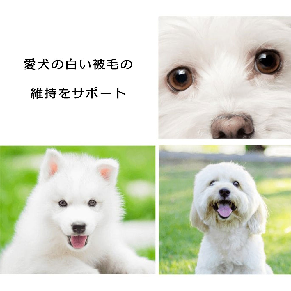 ネイチャーズプロテクション ホワイトドッグ 4kg ラム アダルト小粒 白毛犬種用 ドッグフード ドライフード 涙やけケア 被毛ケア Nature's protection DOG |  | 07