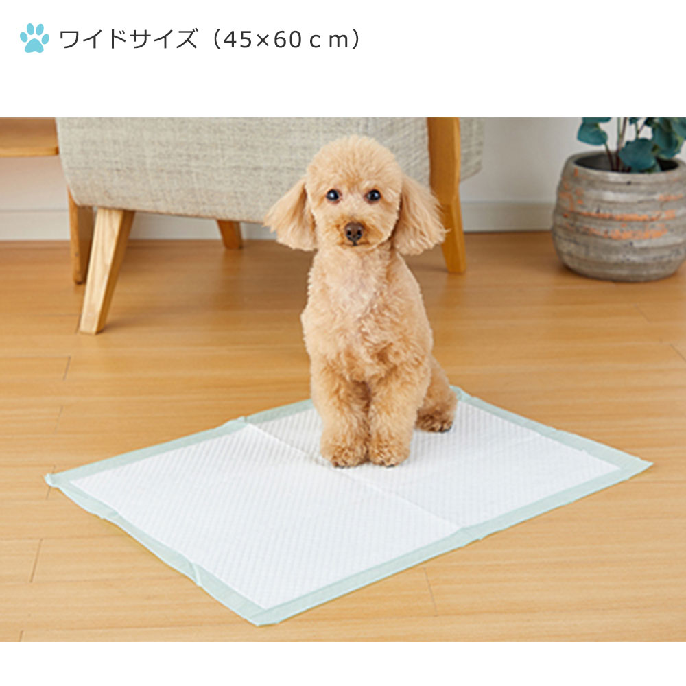 ボンビアルコン しつけるシーツ 幼犬用neo レギュラー 40枚入り 33×45cm （68101005