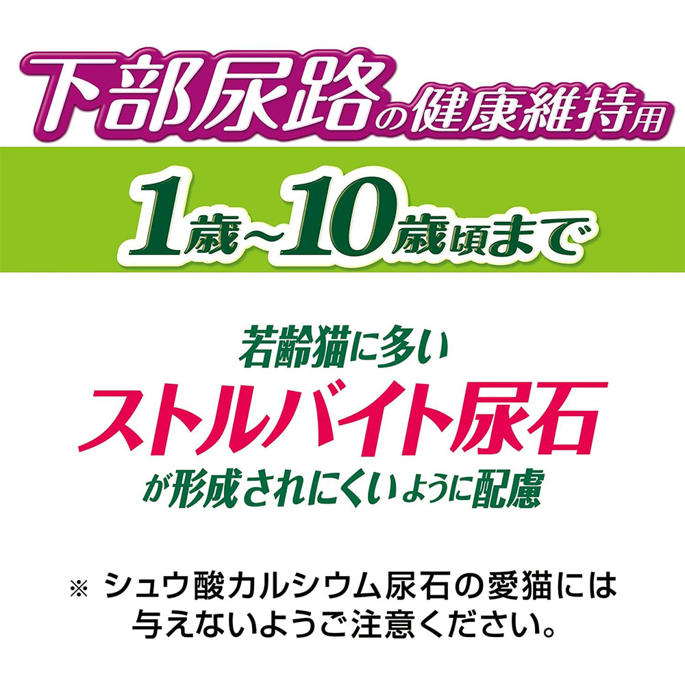 銀のスプーン 贅沢うまみ仕立て 下部尿路の健康維持用 1歳〜10歳頃 まぐろ・かつお・煮干し・白身魚・しらす入り 800g 成猫用 国産 キャットフード ドライフード | ユニ・チャームペット | 03