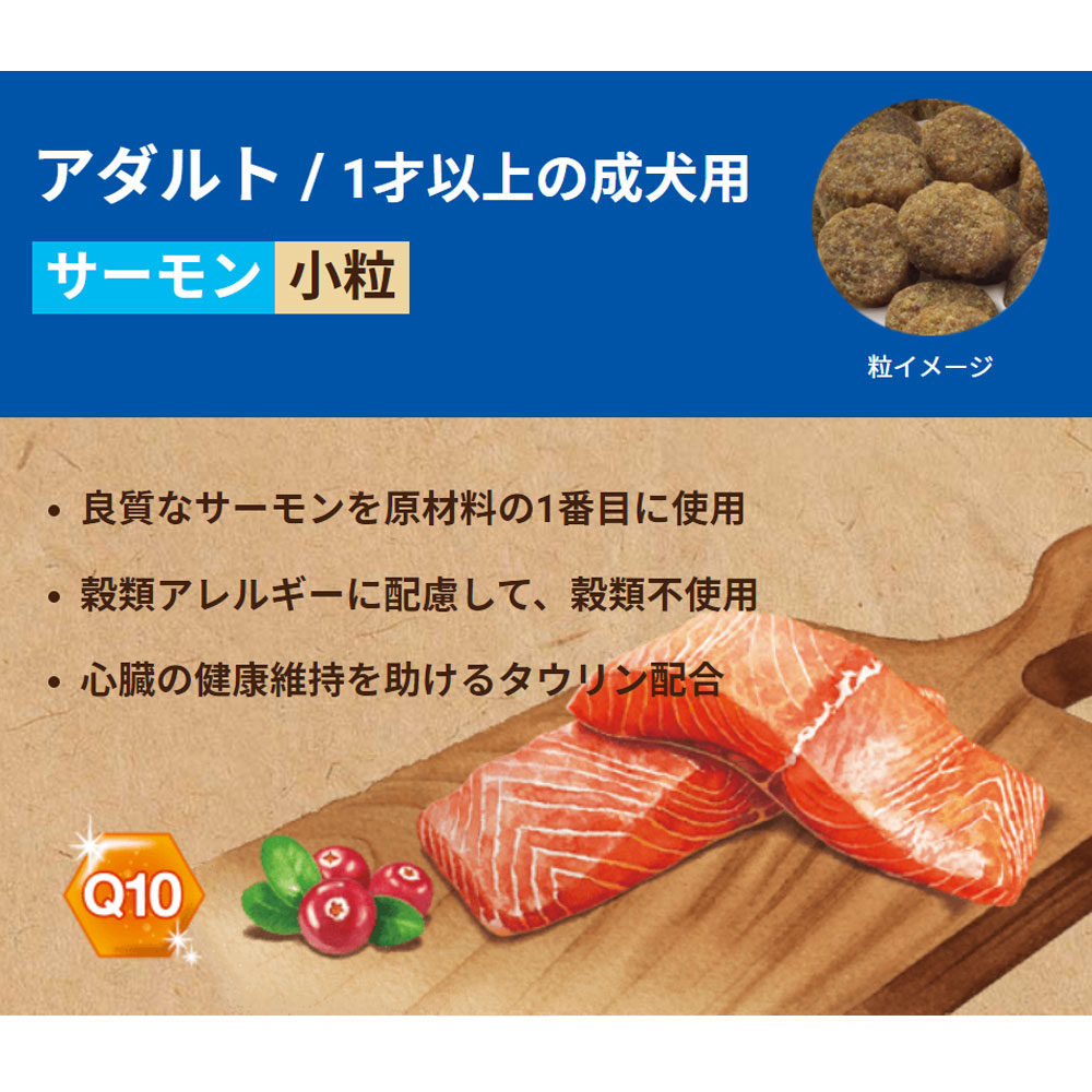 おやつ＆おまけ付! セレクトバランス グレインフリー アダルト サーモン 小粒 成犬用 6kg 1歳以上 ドッグフード ドライフード SELECT BALANCEの画像