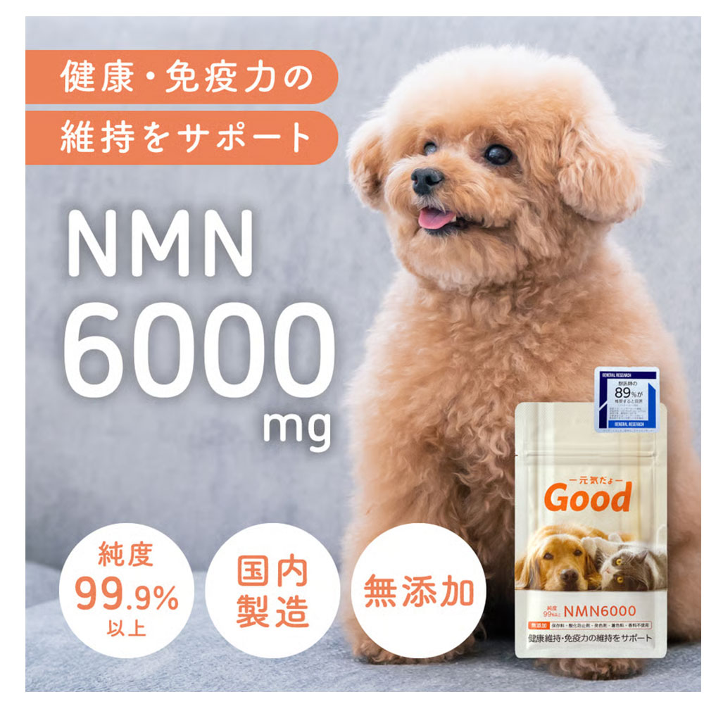 nmn6000のおすすめ人気商品一覧 通販 - Yahoo!ショッピング