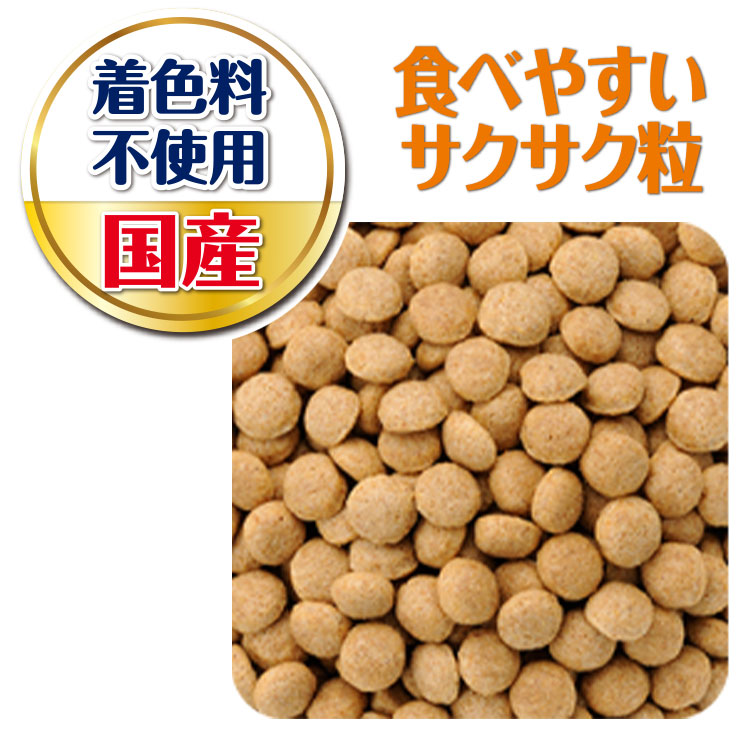 日本ペットフード ビタワン7歳以上 6kg 高齢犬用 シニア犬用 全