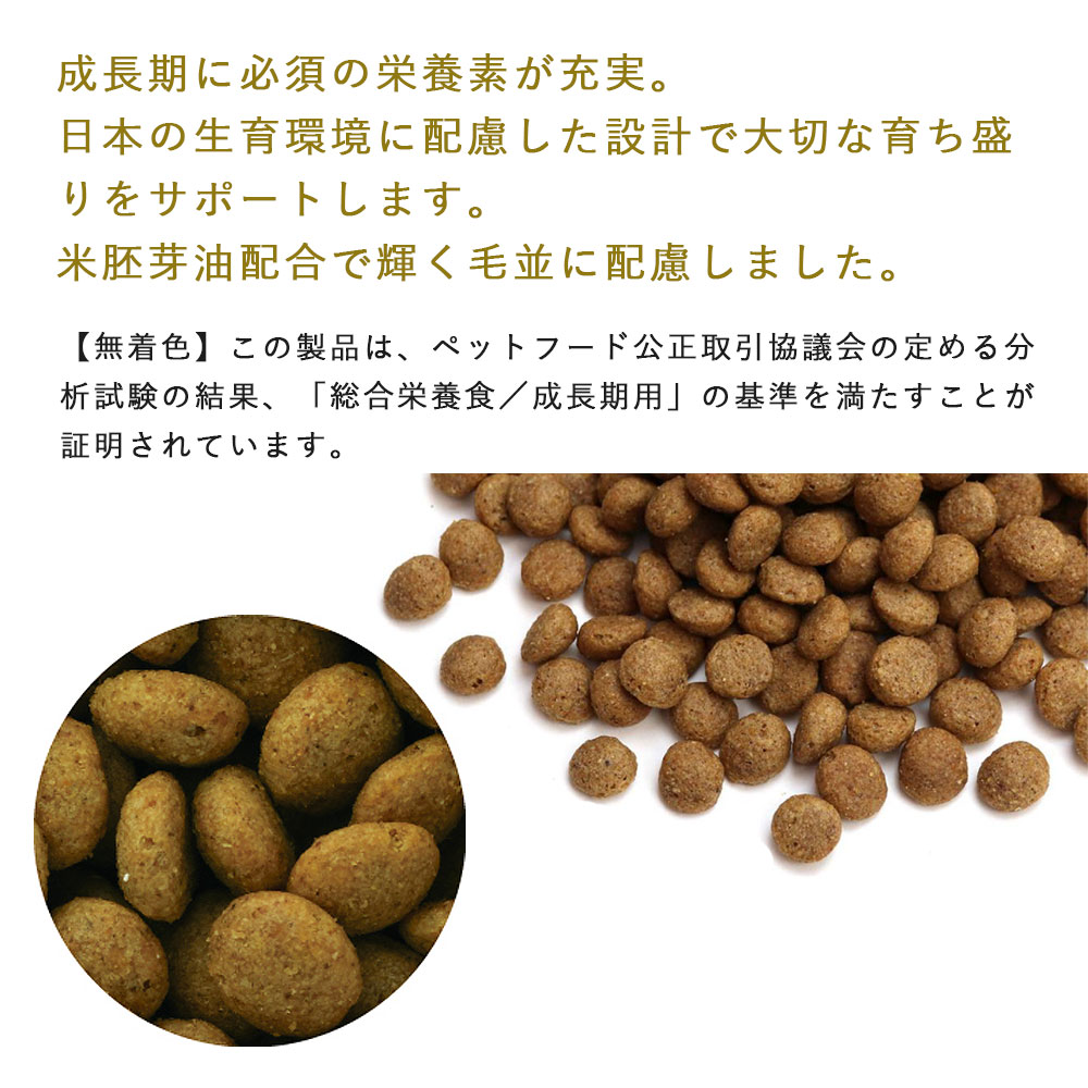 Professional Balance 子犬用ドッグフード 6kg ペットライン プロフェッショナルバランス スタンダードタイプ