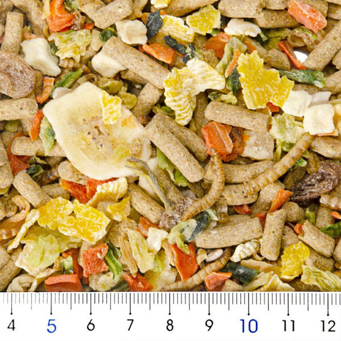 フクロモモンガテイストプラス 50g 小動物用...の詳細画像1