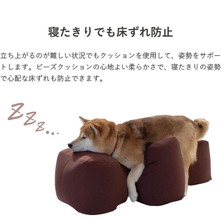 アロン化成 OneAid リラクッション DLサイズ 本体 中大型用 短足犬用