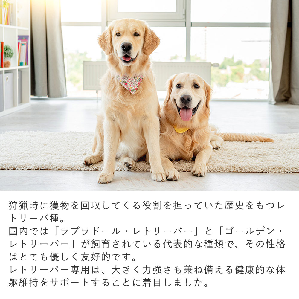 イースター ウェルケア レトリーバー専用 シニア 10kg チキン 大粒