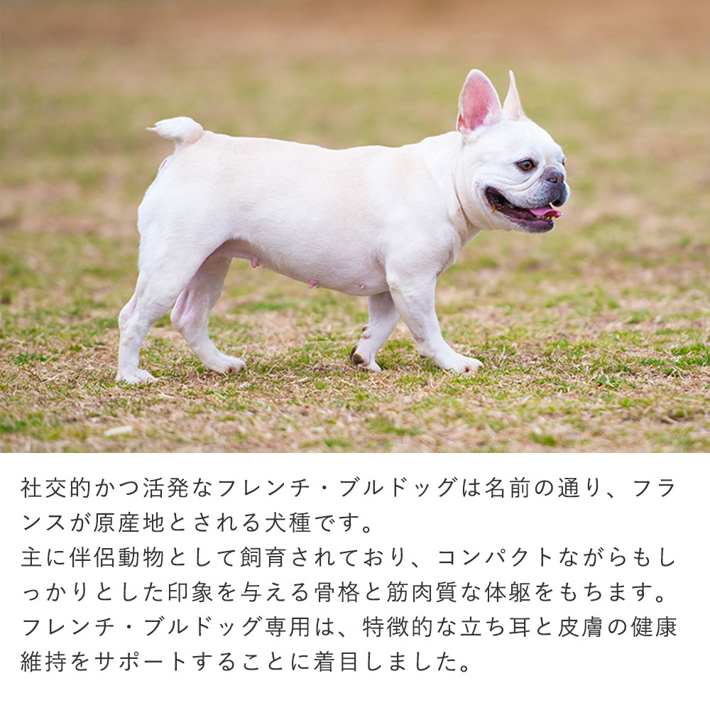 イースター ウェルケア フレンチ・ブルドッグ専用 アダルト〜シニア