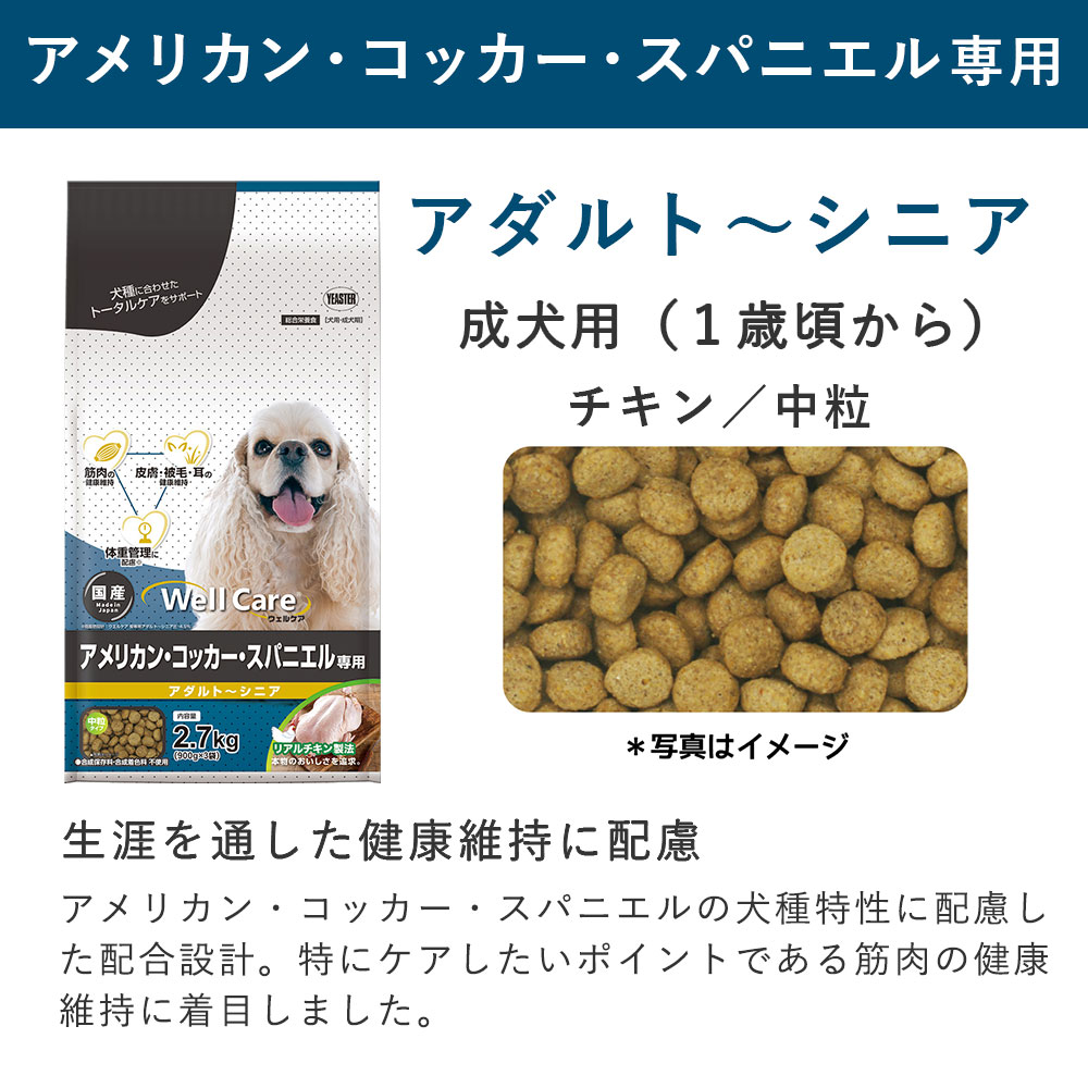 イースター [4個セット]ウェルケア アメリカンコッカー