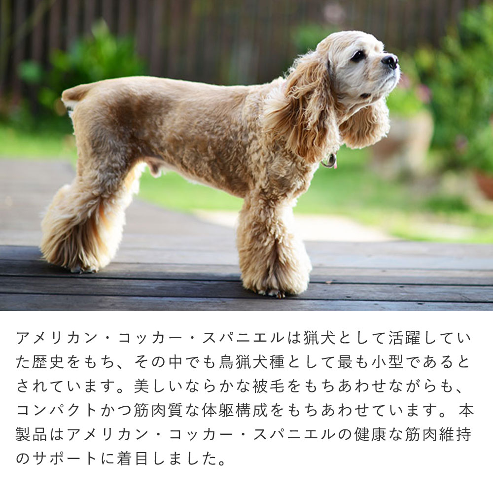 イースター [4個セット]ウェルケア アメリカンコッカースパニエル専用