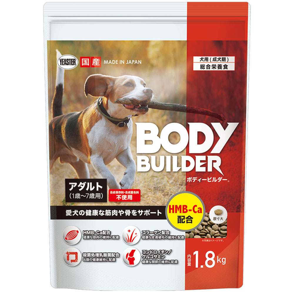 ボディービルダー アダルト 1.8kg 成犬用 全犬種用 総合栄養食 ドッグフード ドライフード 国産 BODY BUILDER イースター yeaster | イースター