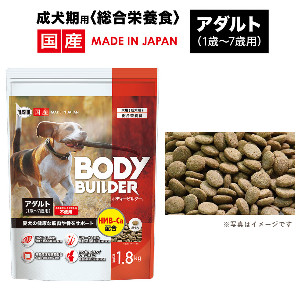 ボディービルダー アダルト 1.8kg 成犬用 全犬種用 総合栄養食 ドッグフード ドライフード 国産 BODY BUILDER イースター yeaster | イースター | 01