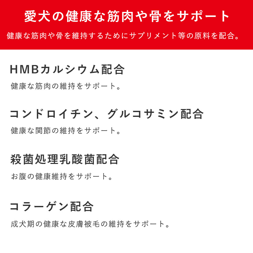 ボディービルダー アダルト 1.8kg 成犬用 全犬種用 総合栄養食 ドッグフード ドライフード 国産 BODY BUILDER イースター yeaster | イースター | 02