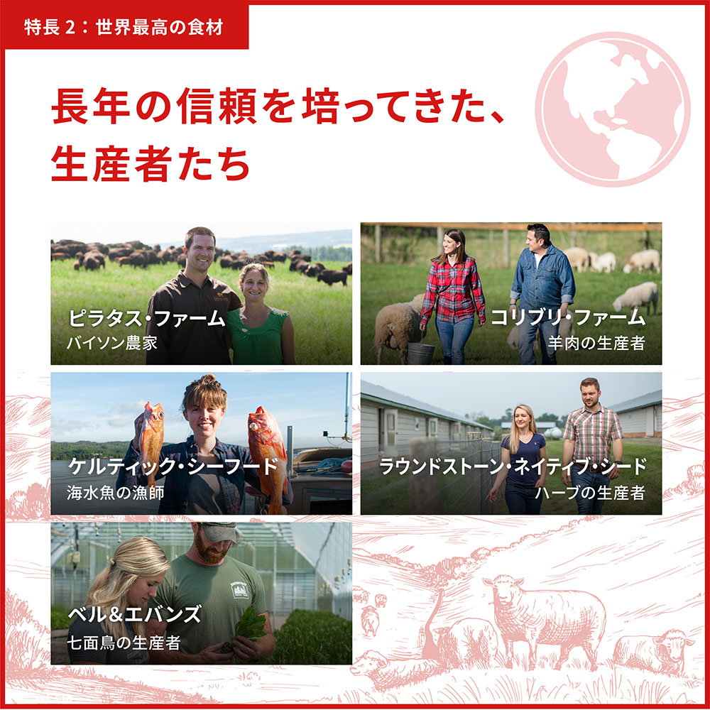 ACANA アカナ シニアドッグレシピ 11.4kg 高齢犬用 シニア犬用 全犬種用 ドッグフード ドライフード アカナファミリージャパン | チャンピオンペットフーズ | 15