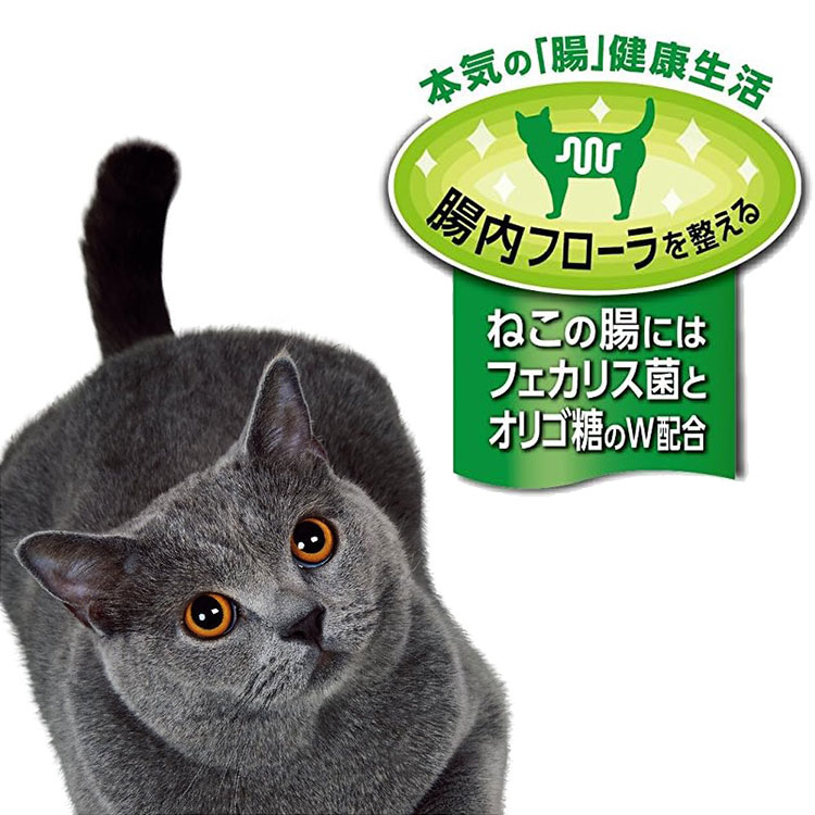 JPスタイル 和の究み セレクトヘルスケア 腎臓ガード かつお味 700g 成猫用 全猫種用 キャットフード ドライフード  ペットライン petline｜gooddog｜06