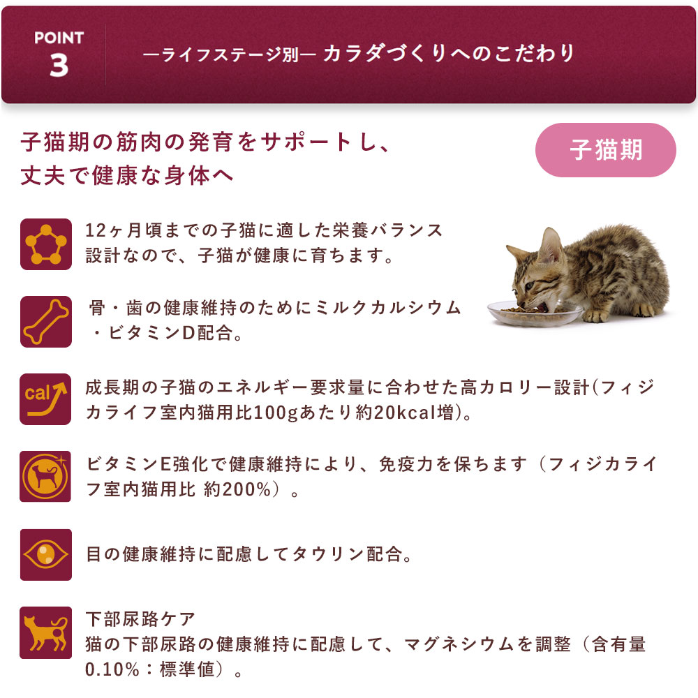 フィジカライフ 子猫用 チキン入 500g 全猫種用 離乳?1歳頃 キャットフード ドライフード Physicalife｜gooddog｜07