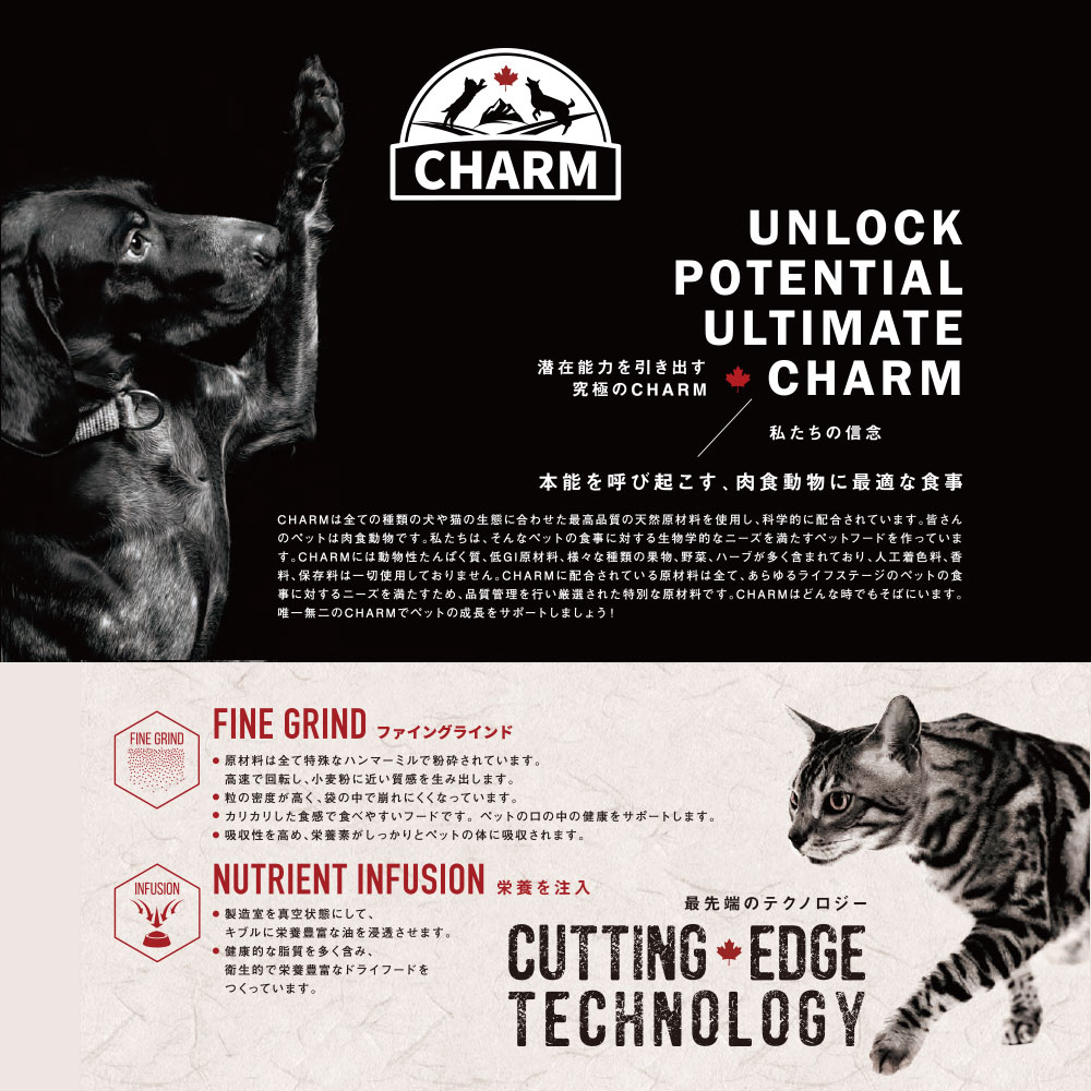 CHARM チャーム サーフ＆ターフドッグ 1kg 全犬種用 成犬用 子犬用 高齢犬用 シニア犬用 ドッグフード ドライフード トランペッツ｜gooddog｜02