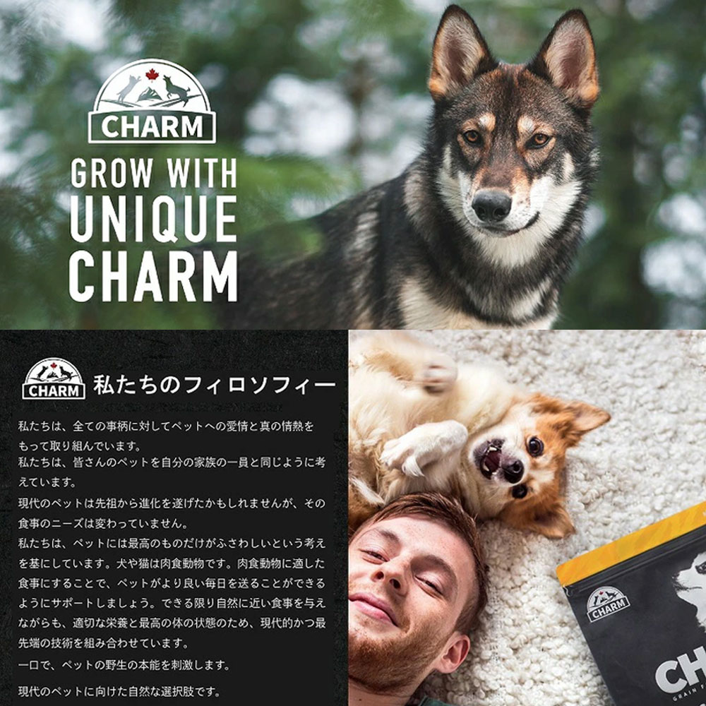 CHARM チャーム サーフ&ターフドッグ 10kg 全犬種用 成犬用 子犬用 高齢犬用 シニア犬用 ドッグフード ドライフード トランペッツ チャーム 全犬種用 成犬用 子犬用 高齢犬用 シニア犬用 CHARM チャーム サーフ&ターフドッグ 10kg 全犬種用 成犬用 子犬用 高齢犬用 シニア犬用 ドッグフード ドライフード トランペッツ チャーム 全犬種用 成犬用 子犬用 高齢犬用 シニア犬用
