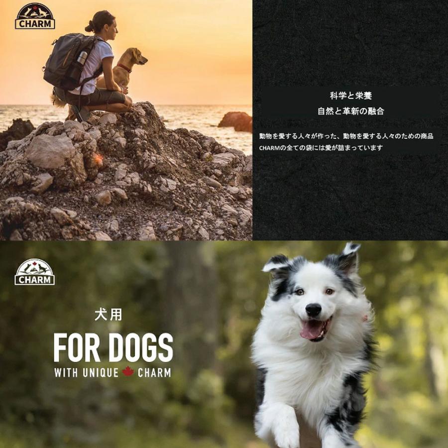 CHARM チャーム サーフ&ターフドッグ 10kg 全犬種用 成犬用 子犬用 高齢犬用 シニア犬用 ドッグフード ドライフード トランペッツ チャーム 全犬種用 成犬用 子犬用 高齢犬用 シニア犬用 CHARM チャーム サーフ&ターフドッグ 10kg 全犬種用 成犬用 子犬用 高齢犬用 シニア犬用 ドッグフード ドライフード トランペッツ チャーム 全犬種用 成犬用 子犬用 高齢犬用 シニア犬用