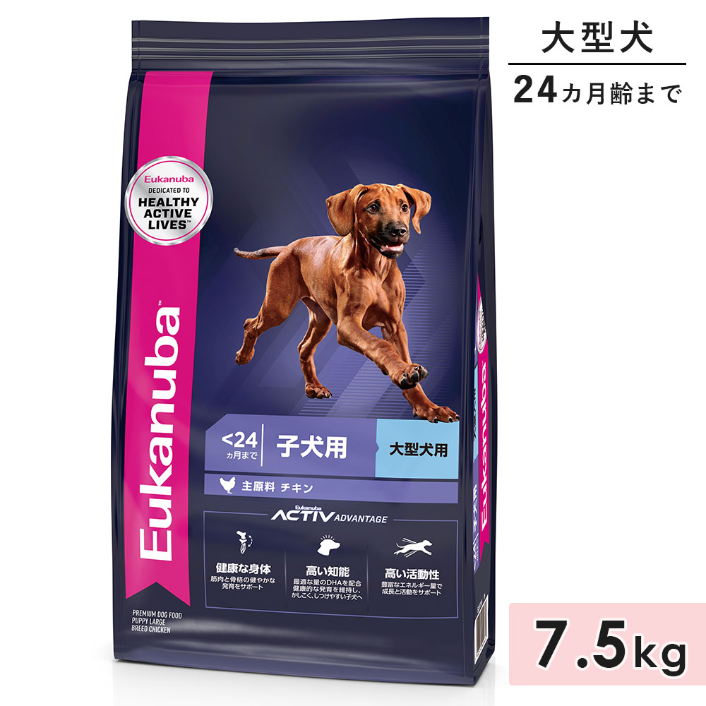 ユーカヌバ ラージ パピー 7.5kg 子犬用 大型犬用 チキン 生後24カ月まで 2歳まで ドッグフード ドライフード Eukanuba